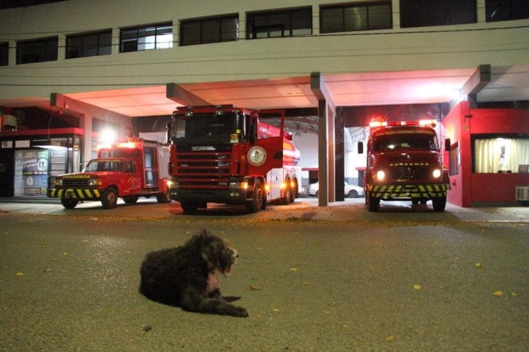 General Pico: Vecina denuncia que le robaron la bicicleta a un Bombero y pide colaboración para recuperarla