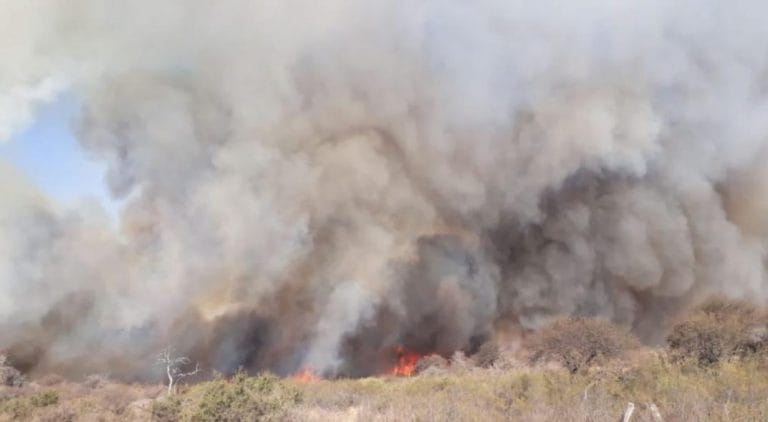 Incendios en Córdoba: Bomberos extinguieron los focos principales, pero alertan por riesgo extremo
