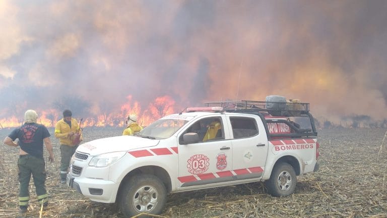 La Pampa: Ya está controlado el fuego que quemó 4.000 hectáreas de monte de Caldén