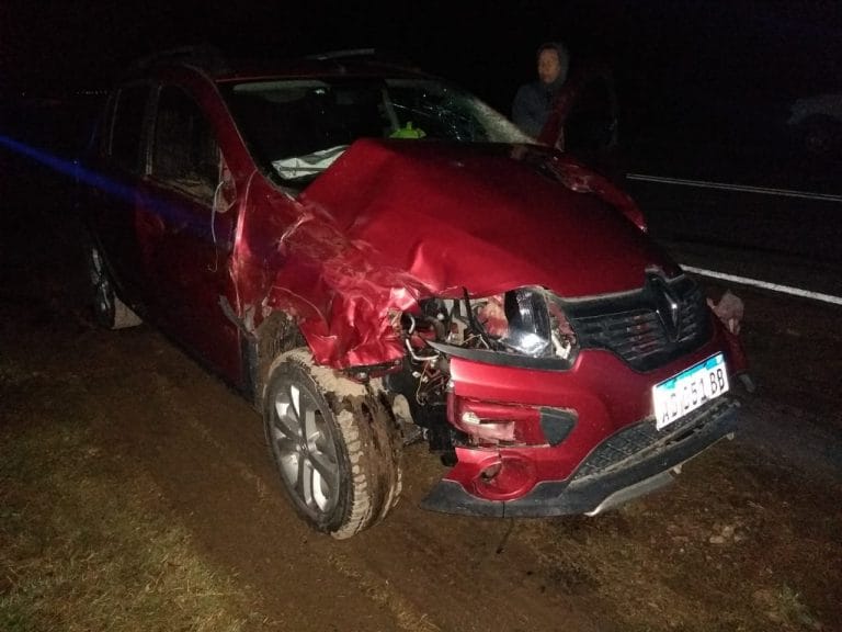 Violento accidente entre Ojeda Y Falucho: un auto chocó contra 3 vaquillonas preñadas