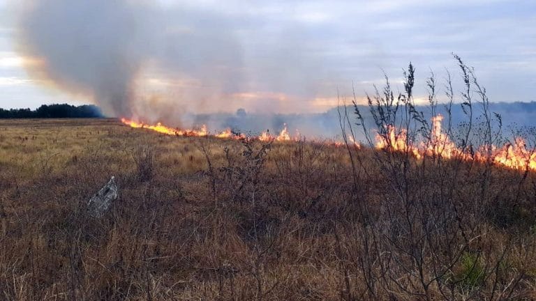 Gran incendio de pastizales entre “barrio Federal” y el barrio “La Loma”