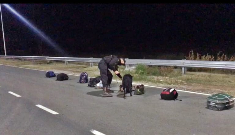 Hallan cocaína en un colectivo de transporte de pasajeros que hace la línea Santa Rosa -General Pico