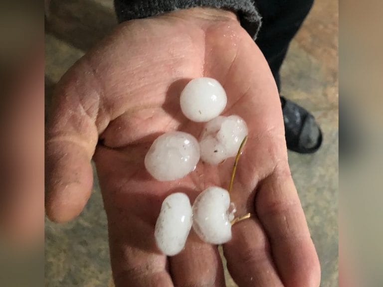 Intensa caída de granizo en algunos sectores de General Pico