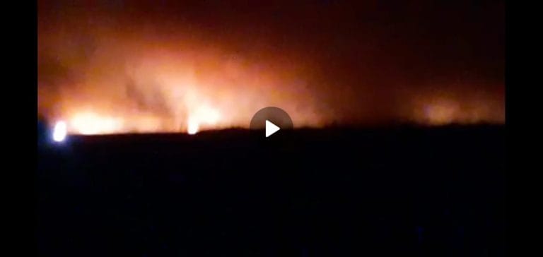 Impresionante incendio: Se quemaron unas 2.000 hectáreas de monte en su mayoría de Caldén