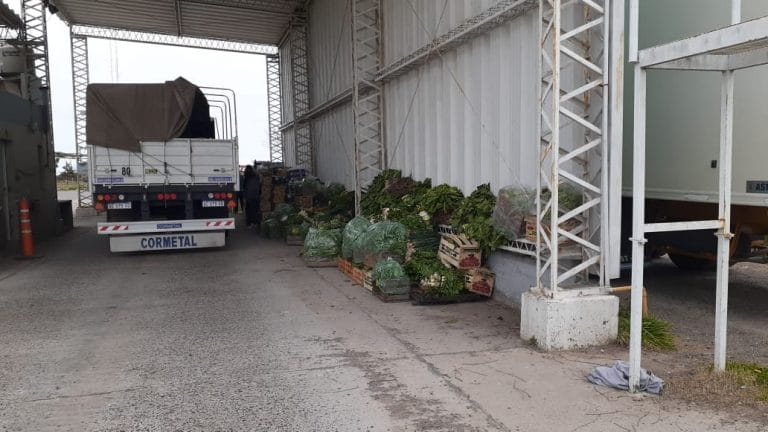 SENASA decomisó y posteriormente donó 7.500 kilos de frutas y verduras a localidades de La Pampa y Río Negro