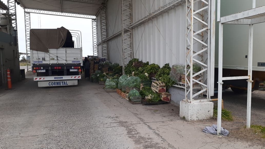 SENASA decomisó y posteriormente donó 7.500 kilos de frutas y verduras a localidades de La Pampa y Río Negro
