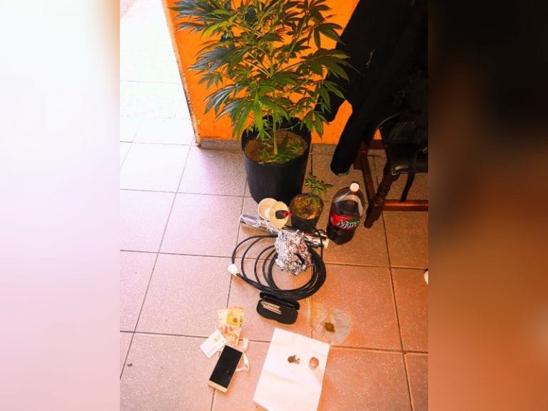 Allanaron una vivienda en barrio Federal por venta de drogas: Cuatro demorados y secuestro de marihuana