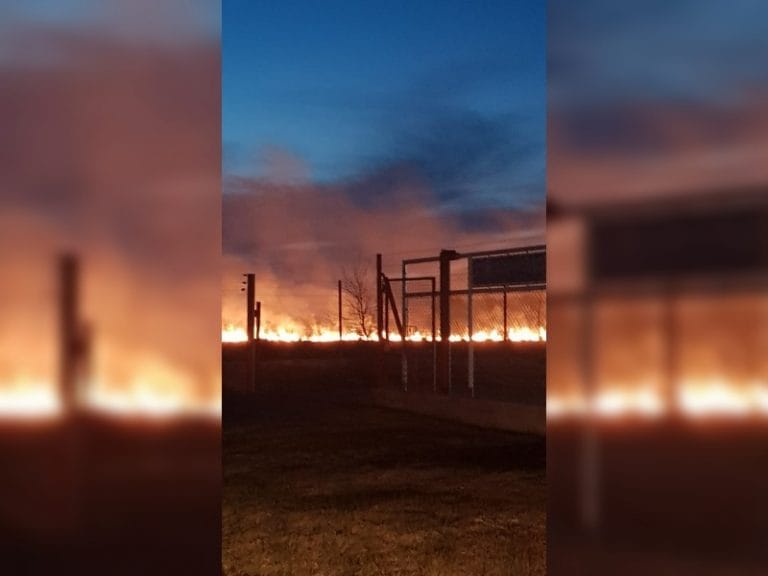 Bomberos trabajan en importante incendio de pastizales camino a la Laguna de General Pico