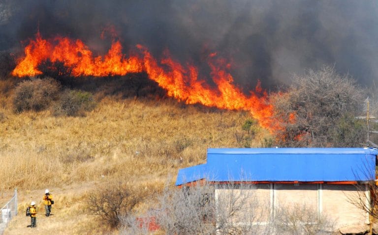 Advierten que la mayoría de los incendios forestales son iniciados por humanos intencional o accidentalmente