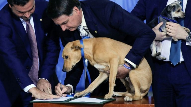 Jair Bolsonaro promulgó una ley contra el maltrato animal e hizo “firmar” a su perro