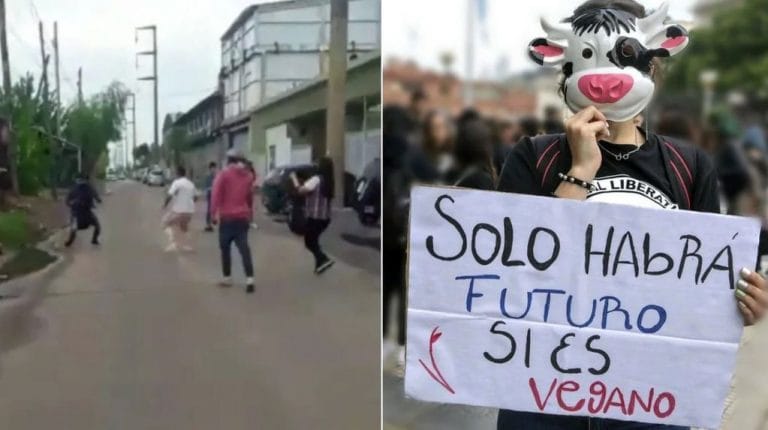 Carniceros de un frigorífico corrieron a las trompadas a veganos en Monte Grande: “¿Vos también querés cobrar?”