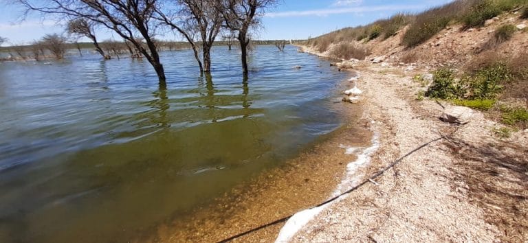 Se tomaron muestras de agua en la laguna del Bajo Giuliani para investigar la “mortandad de camarones”