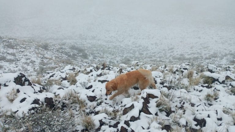 La Humada: Más postales de la histórica nevada en pleno octubre