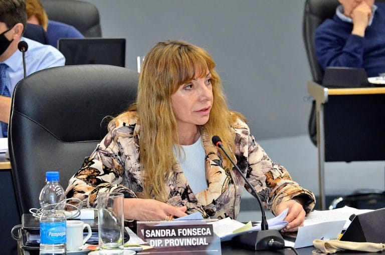 Comunidad Organizada critica el veto de Milei: “Agrava la discriminación hacia las personas con discapacidad”