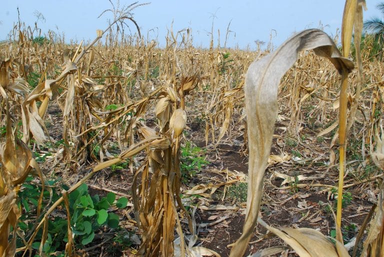 Presentan proyecto para incluir a La Pampa  dentro del régimen promocional destinado a incrementar la producción agropecuaria en tierras rurales consideradas como de baja productividad