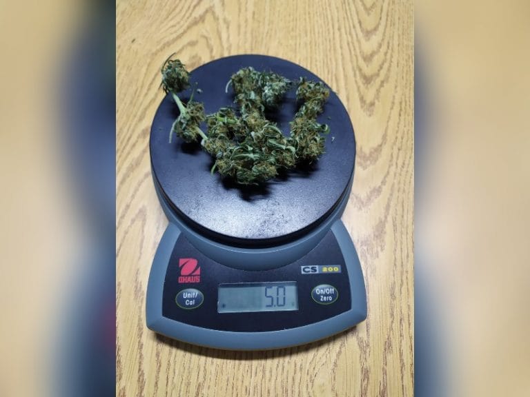 Eduardo Castex: Diez personas fueron notificadas por participar de “encuentros sociales no permitidos”, dos de ellos llevaban marihuana