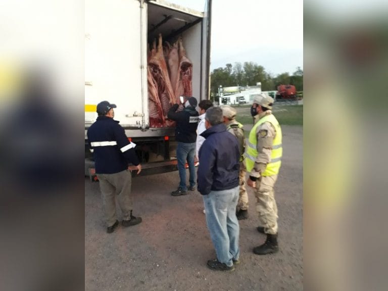 Operativo en Ruta 1 y acceso a Dorila: Decomisaron y destruyeron 3.400 kilos de carne