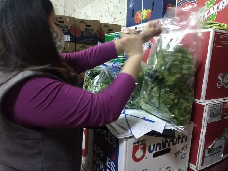 Certificación de la calidad de frutas y verduras en depósitos mayoristas pampeanos