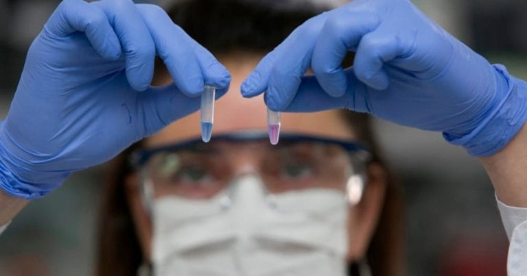 Desde La Pampa invitan a participar con proyectos en el marco de la convocatoria “Ciencia y Tecnología contra el hambre”