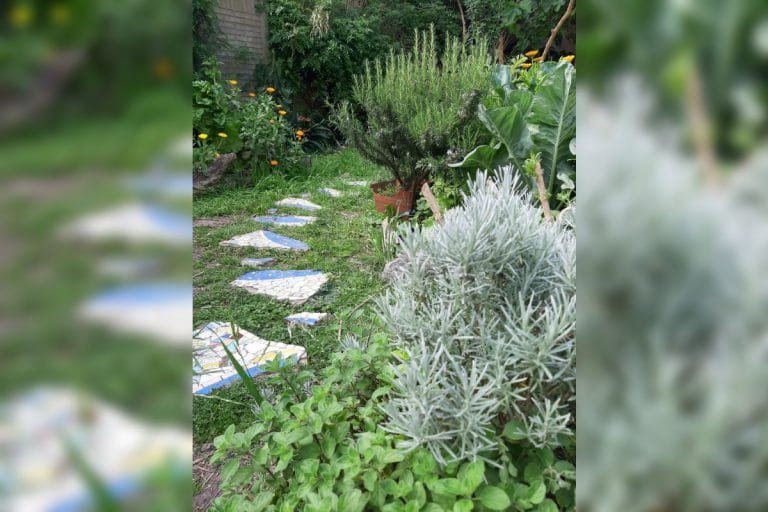 Interesante informe del INTA para prevenir plagas en huertas con aromáticas y flores