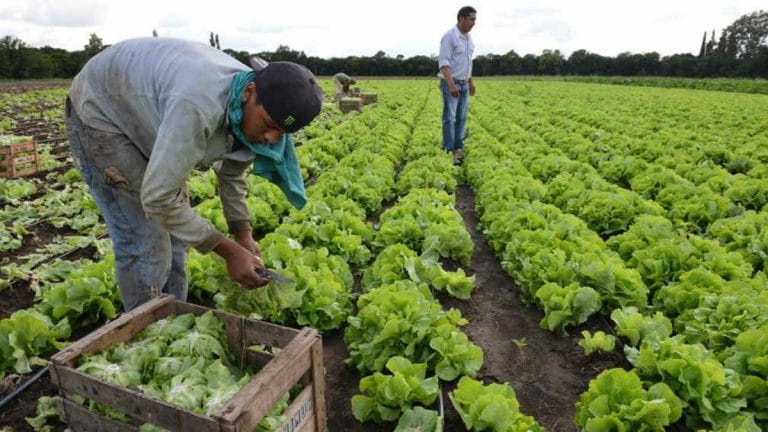Hoy se celebra el Día del Trabajador Rural