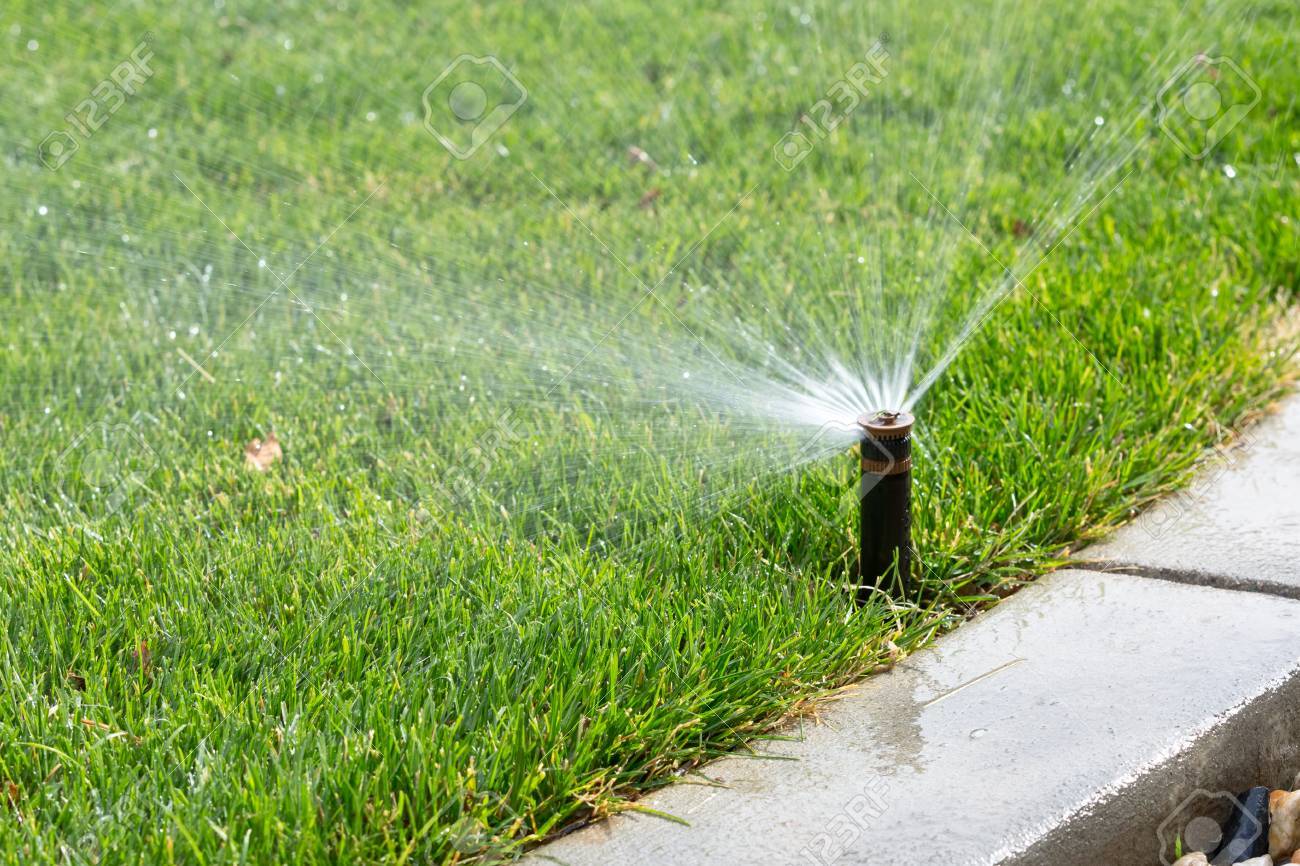 Para los amantes del Jardín: Estas son las tareas para noviembre