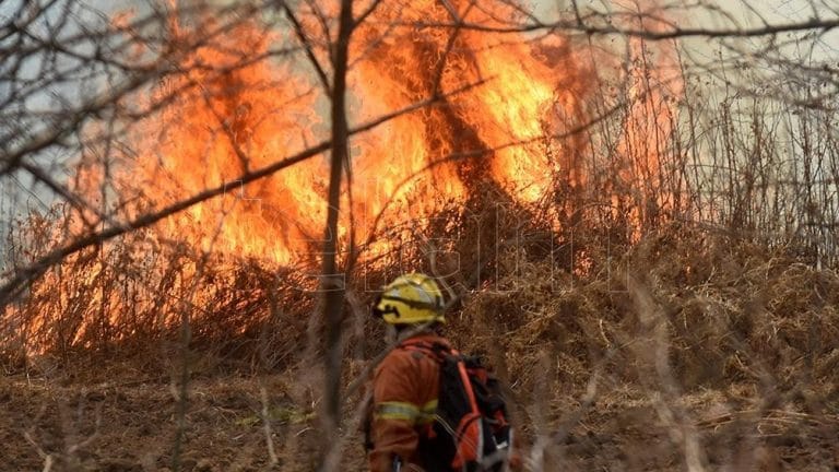 Se aprobó en Diputados el proyecto que busca evitar prácticas especulativas en terrenos incendiados