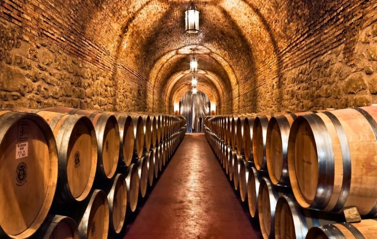 Una bodega argentina obtuvo el premio mayor en un concurso internacional de Chile