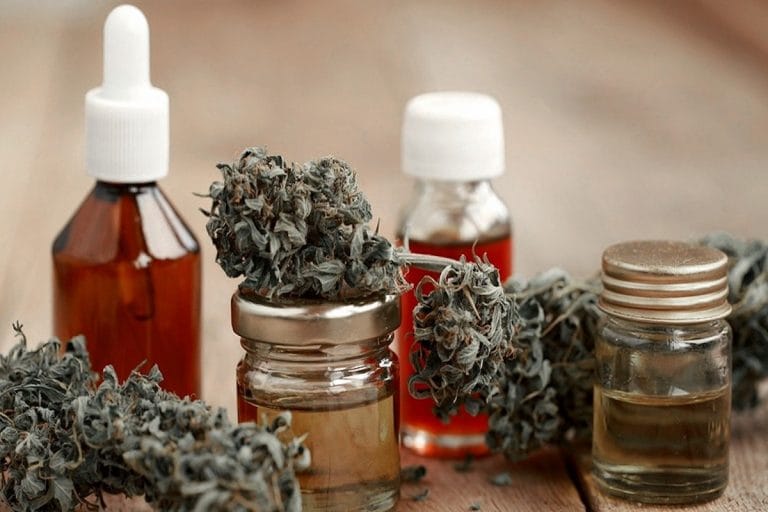 Cannabis: el Gobierno legalizó el autocultivo para uso medicinal y el expendio de aceites en farmacias