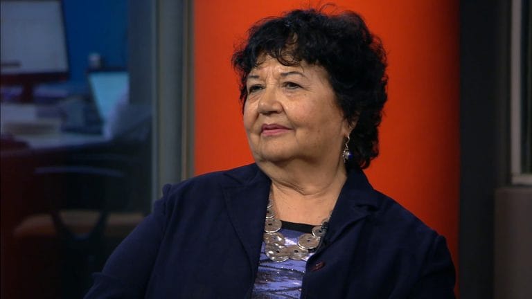 Dora Barrancos cuestionó el accionar de la Justicia: “Más del 20% de las mujeres asesinadas han hecho denuncias”