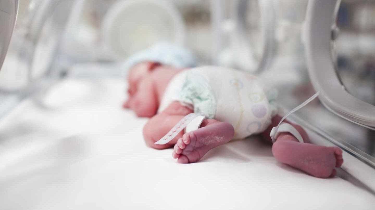 “Semana del bebé prematuro”: Durante el 2019 hubo 2.144 nacimientos en La Pampa y 213 fueron prematuros