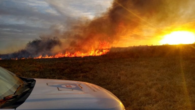 Desde Defensa Civil indicaron que el incendio de monte en Caleufú “se habría originado por un fogón mal apagado”