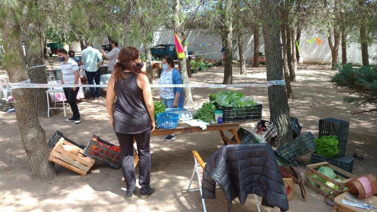 Volvió la Feria Florihortícola los días miércoles en General Pico: de la huerta a la mesa