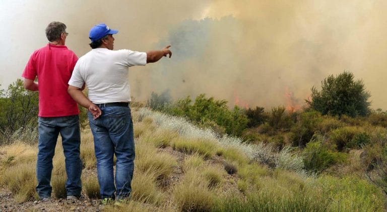 La Pampa está dentro de las provincias que mantienen focos activos de incendios forestales