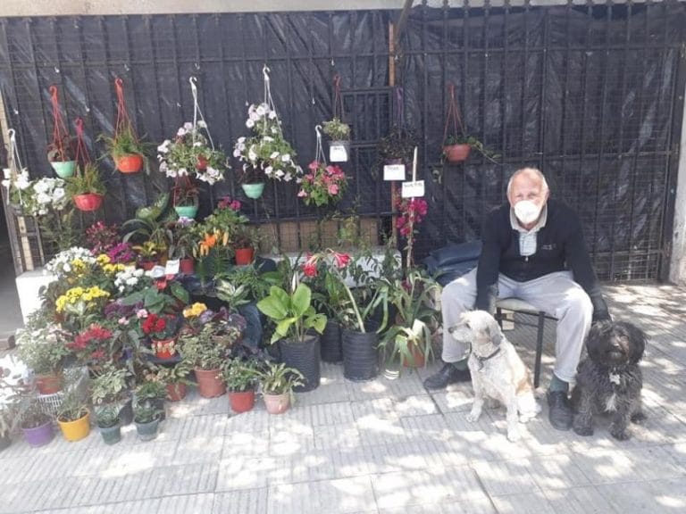 Córdoba: el posteo de su nieta se hizo viral en Facebook y ahora el vivero es un éxito
