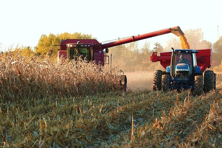 El Gobierno Nacional aprueba programa de crédito del BID por US$ 500 millones para sector productivo