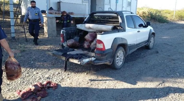 Salió desde La Pampa y lo atrapó la Policía cuando quiso entrar a Río Negro con media tonelada de carne ilegal