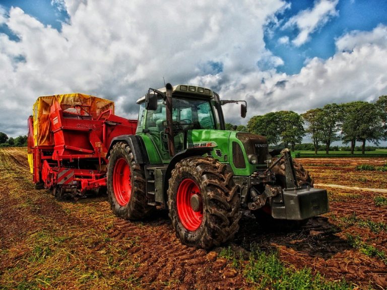 Maquinaria agrícola: 5 consejos clave para comprar un tractor usado