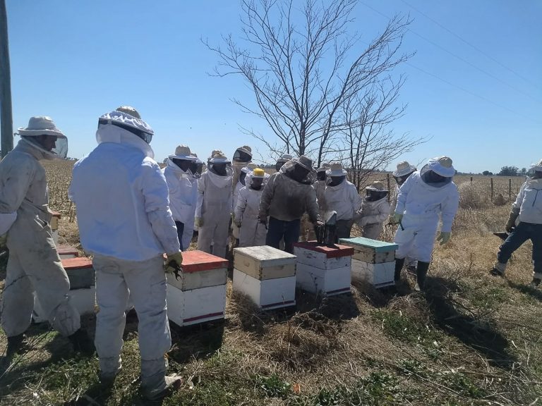 La producción pampeana de miel gana terreno y ya exporta a EEUU, Europa y Japón