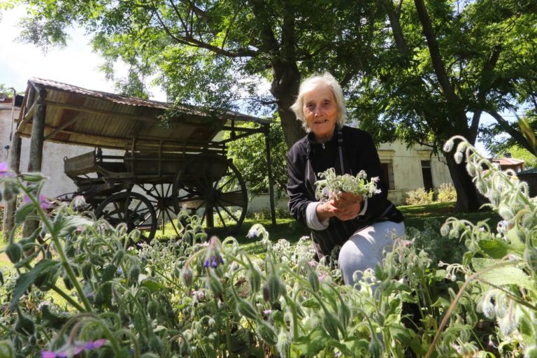 Camino a la costa: el restaurante de pastas donde amasa una italiana de 84 años que se volvió de culto