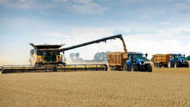 Avance de los cultivos de cosecha gruesa campaña 2020/21 en La Pampa