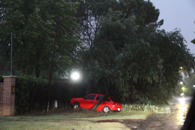 Intenso temporal produjo daños, voladura de techos y caída de árboles en General Pico: Se registraron ráfagas de 158 km/h