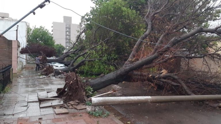 El comité de crisis de Defensa Civil asistirá a las familias afectadas por el temporal que azotó a gran parte de La Pampa