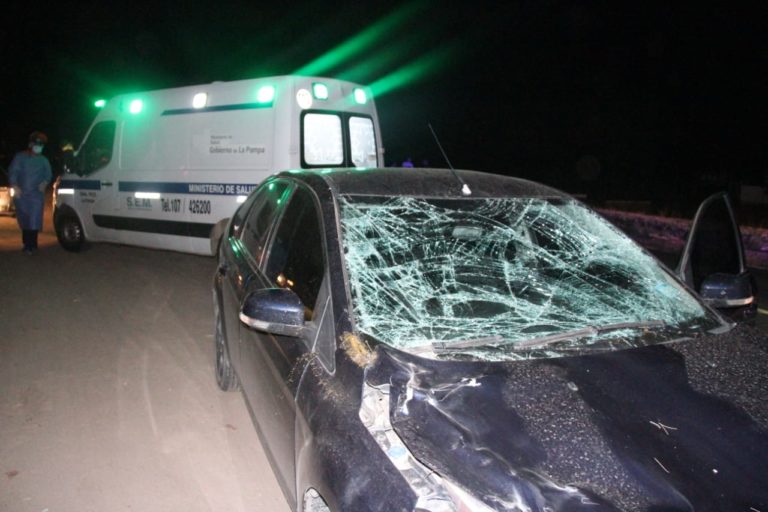 Un vehículo chocó con un caballo suelto en la ruta 1 en las primeras horas de esta madrugada