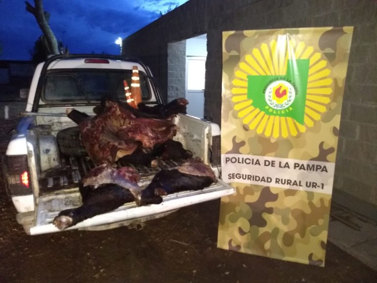 La Pampa: Demoraron a un hombre por abigeato en predio rural
