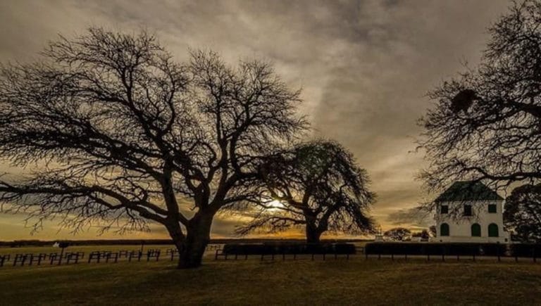 Presentaron un proyecto para que los caldenales de Parque Luro sean incluidos en el patrimonio mundial de la UNESCO