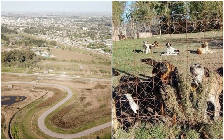 En el predio del ex autódromo se hará un “ecoparque” y  la “canilera” será relocalizada, dijo la Intendenta, Fernanda Alonso