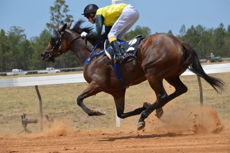 Se habilitaron los eventos hípicos en toda La Pampa