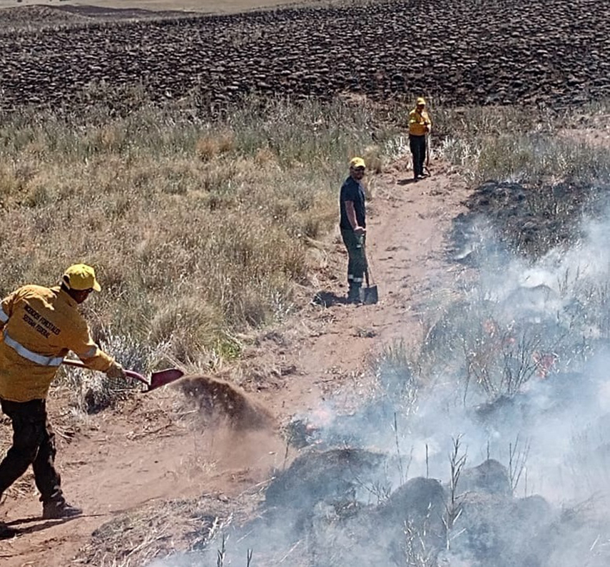 La Pampa: Defensa Civil y Bomberos Voluntarios sofocaron múltiples focos de incendio