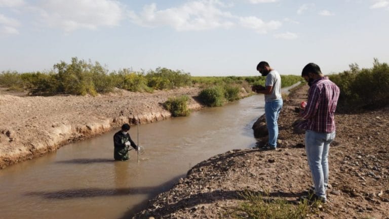 Se realiza medición del río Colorado
